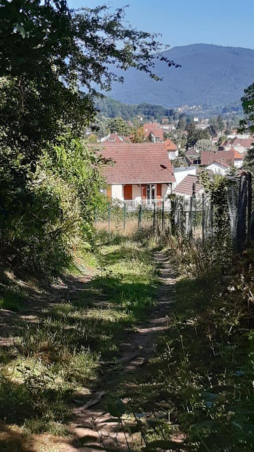 Apartamento Ravissant studio dans un cadre agréable Soultz-Haut-Rhin Exterior foto